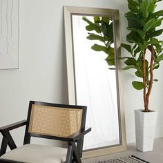 a chair sitting in front of a mirror next to a potted plant and rug