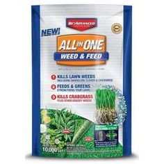 24 lb. All-in-One Weed and Feed Granules Lawn Weeds, Weeds In Lawn, Micro Nutrients, Container Size, Grasses, Lawn Care, Dandelion