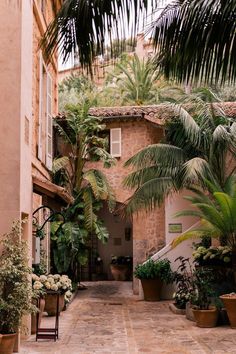 an alley way with potted plants and palm trees on either side of the building