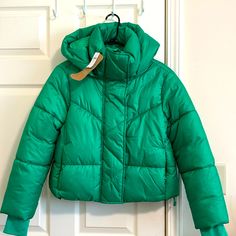 Nwt. Gap Puffer. Crop. Detachable Hood Water Resistant Primaloft Fill , 100% Recyclable Two Side Pockets With Zippers. Stretchy Thumbholes From Zip And Buttons. Very Pretty. Gap Winter Outerwear In Solid Color, Green Puffer Jacket With Padded Collar For Cold Weather, Gap Hooded Spring Outerwear, Spring Green Quilted Puffer Jacket, Fitted Gap Outerwear For Winter, Trendy Gap Winter Outerwear, Green Fitted Casual Puffer Jacket, Green Fitted Puffer Outerwear, Trendy Green Puffer Jacket For Winter