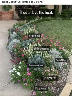 a flower bed with different types of flowers in it and the words best beautiful plants for edging