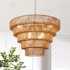 a bamboo chandelier hanging from a ceiling in a room with white walls and green plants