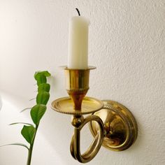 a candle that is on the wall next to a potted plant