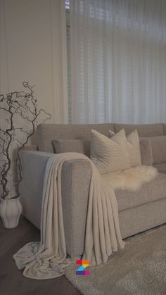 a living room scene with focus on the couch and throw pillows in front of the window