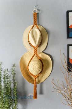 a hat hanging on the wall next to a potted plant and two pictures in frames