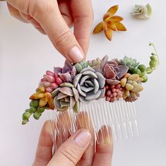 someone is holding a comb with succulents and flowers on it in their hands