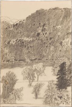 a pencil drawing of trees and mountains in the distance with a river running between them