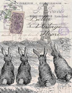 three rabbits sitting next to each other in front of a postcard with the eiffel tower