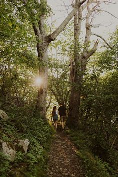 two people walking up a trail in the woods