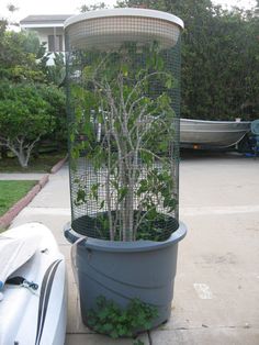 a birdcage filled with plants sitting on top of a cement floor next to a white car