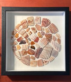 an art work with shells arranged in a circle