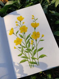 an open book with yellow flowers painted on it's cover and green leaves in the background