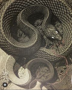 a drawing of a snake with its head in the middle of it's body