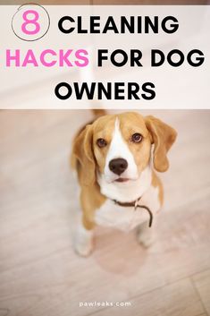 a brown and white dog standing on top of a hard wood floor with the words 8 cleaning hacks for dog owners