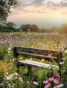 a bench sitting in the middle of a field full of wildflowers and grass