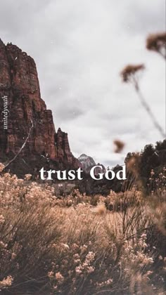 the words trust god are in front of a mountain range with tall grass and flowers