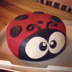 a cake decorated to look like a ladybug