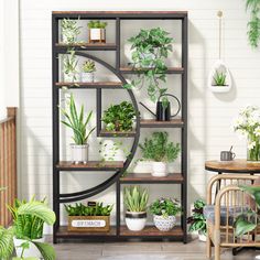 a room filled with lots of potted plants on shelves next to a wooden table