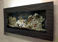 an aquarium with rocks and corals on the bottom is shown in this black frame