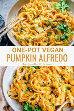 one - pot vegan pumpkin alfredo in a white bowl