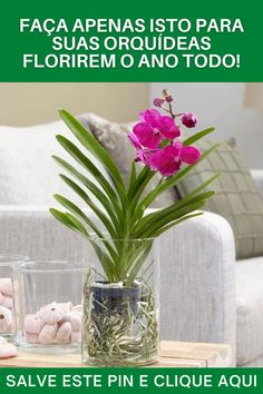 a table with flowers and rocks on it in front of a white couch that reads, aprenda esto y nunca per centree pederas tus orquidas