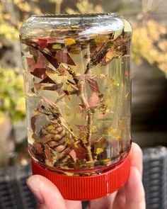 a person holding up a jar filled with leaves