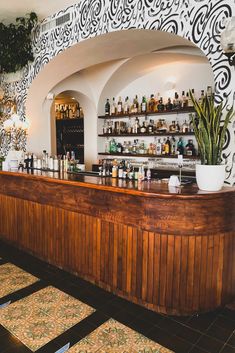 a bar with lots of bottles on the wall and plants in pots behind it,