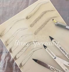 . Microblading Patterns, Brow Embroidery, Cosmetic Tattoo Eyebrows, Phibrows Microblading, Eyebrows Goals, Tattoo Lounge, Salvation Tattoo