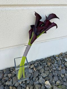 there is a vase with flowers in it on the rocks and gravel area next to the wall