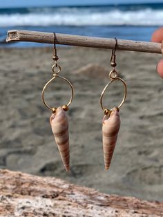 Natural handpicked shells set in gold plated wire with beads. Gold Shell With Matching Earrings, Gold Shell Earrings For Summer, Shell-shaped Gold Shell Earrings, Gold Shell-shaped Shell Earrings, Gold Shell-shaped Earrings, Gold Shell Ear Wire Gift, Gold Shell Earrings With Ear Wire As Gift, Gold Shell Dangle Earrings, Gold Shell Earrings With Ear Wire For Gift