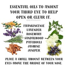 a poster with different types of flowers and herbs to help you learn how to use them