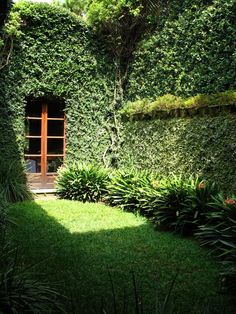 an outdoor area with grass, bushes and a red door in the middle of it