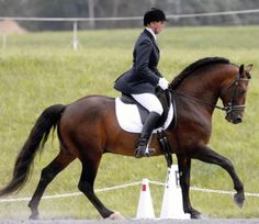 a woman riding on the back of a brown horse next to white cones and grass