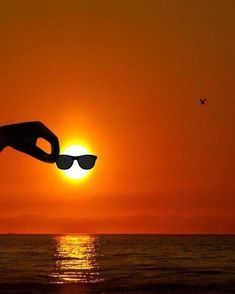 the sun is setting over the ocean with sunglasses in it's hand and a bird flying by