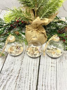 three glass jars filled with sand and shells on top of a white wooden table next to pine branches