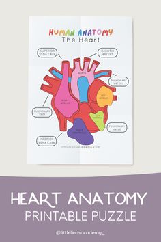 the heart anatomy printable puzzle is shown in front of a white background with text that reads