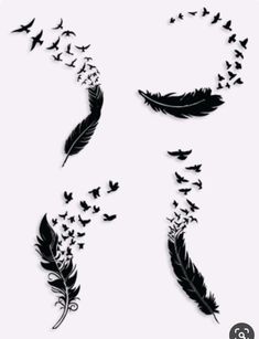 the silhouettes of birds and feathers are drawn in black ink