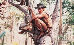 a man sitting on top of a tree in the forest wearing a hat and boots