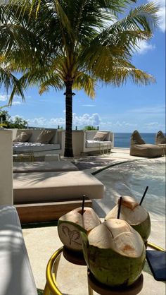 two coconuts sitting on top of a table next to a tree near the ocean