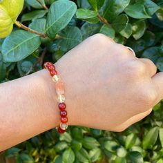 Like the phoenix rising from the ashes, this bracelet combines the transformative energy of powerful crystals: Carnelian, Citrine, Sunstone, and Garnet. It helps heal past wounds and inspires new beginnings. Infused with Reiki energy, this bracelet promotes emotional recovery, while the Evil Eye amulet deflects negativity, protecting you from harmful energy as you emerge stronger than ever. Benefits of this Phoenix Rising Bracelet: Healing and Transformation: Ideal for those looking to overcome Crystals Carnelian, Phoenix Rising From The Ashes, Evil Eye Amulet, Rising From The Ashes, Powerful Crystals, Emotional Recovery, Rise From The Ashes, Evil Eye Protection, Phoenix Rising