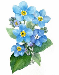 watercolor painting of blue flowers and green leaves