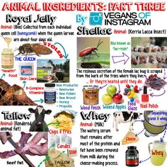 an animal ingredients part three poster with information about it's contents and its uses