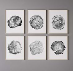 Set of 6 prints, Tree ring print, Tree stump print, Black and white prints,Modern wall decor,Tree rings print,Wood slice printable,Log print INSTANT DOWNLOAD KINDLY NOTE, THIS IS A DIGITAL DOWNLOAD ONLY. NO PHYSICAL ITEM WILL BE SENT IF YOU NEED THE DESIGN IN OTHER DIMENSIONS PLEASE CONTACT ME  After Etsy processes your payment, the following files will be automatically made available to download at http://www.etsy.com/your/purchases You can print the file at home, at a local print shop or using Tree Ring Print, Tree Ring, Tree Rings, Tree Wall Decor, Print Black And White, White Prints, Tree Stump, Black And White Prints, Christmas Deals