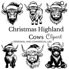 christmas highland cow clipart for personal and commercial use - example image 1 / 2