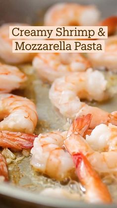 shrimp and mozzarella pasta in a skillet with the words creamy shrimp & mozzarella pasta