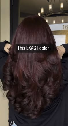 Wine Brown Hair Color, Auburn Cherry Hair, Hair Color Ideas Solid Colors, Red Wine Burgundy Hair, Dark Cherry Red Hair Asian, Red Tinted Hair Brunette, Hair Dye Ideas For Indian Skin, Red Tinted Dark Brown Hair, Wine Colored Hair Burgundy Dark