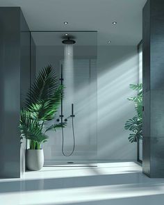 a bathroom with a plant and shower head