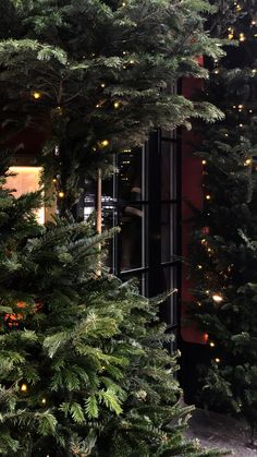 christmas trees are lined up in front of a window with lights on the windowsill