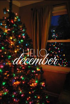 a decorated christmas tree in front of a window with the words hello december on it