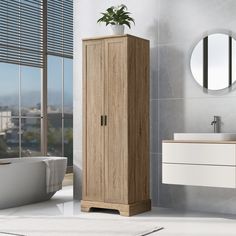 a bathroom scene with focus on the cabinet